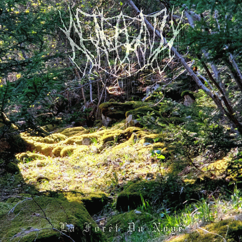 Afasaroth : La Forêt du Noyé